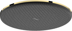 Верхний душ Hansgrohe Raindance Alive S 24523990, полированное золото