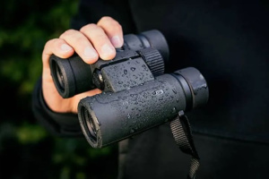 Бинокль Nikon PROSTAFF P3 842