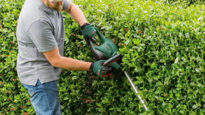 Электрический кусторез Bosch UniversalHedgeCut 60 (06008C0703)