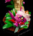 LEGO Ideas 21342 - Коллекция насекомых