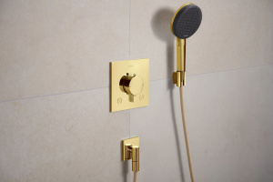 Душевая лейка Hansgrohe Raindance Alive Select S 24511990, золотой