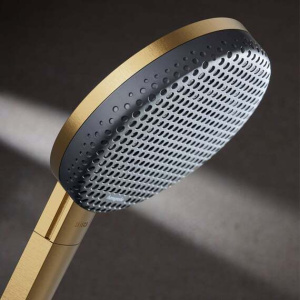 Ручной душ Hansgrohe Raindance Alive Select S 24512140, шлифованная бронза