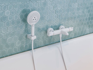 Ручной душ Hansgrohe Raindance Select 26530700, белый матовый