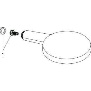 Душевая лейка Hansgrohe Raindance Select черный матовый (26530670GS)