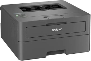 Монохромный лазерный принтер Brother HL-L2400DW