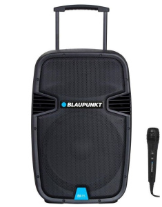 Аудиосистема Blaupunkt PA12