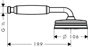 Душевая лейка Hansgrohe Montreux 16320820, никель