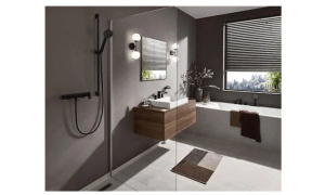 Смеситель для раковины Hansgrohe Vivenis 75033670 Черный Матовый