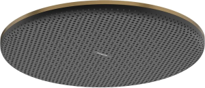 Верхний душ Hansgrohe Raindance Alive S 24520140, шлифованная бронза