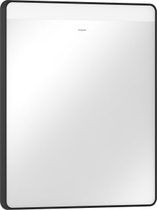 Зеркало Hansgrohe Xarita Lite Q 54957670