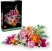 LEGO Botanicals 10342