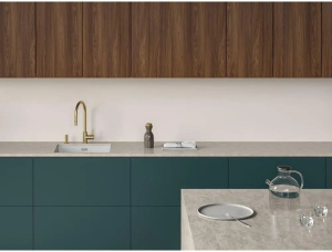 Кухонный кран Franke Eos Neo pull-out spray 115.0681.244, золото
