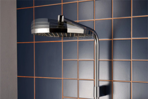 Душевой гарнитур Hansgrohe Activera S 28083000