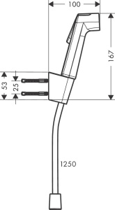 Ручной душ для биде Hansgrohe Bidette S 29238670, черный