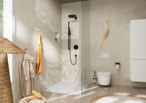 Верхний душ Hansgrohe Pulsify 260 1jet EcoSmart 24141670, черный матовый