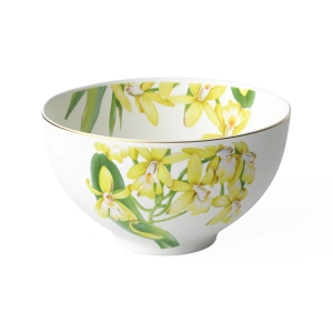 Миска Villeroy & Boch Amazonia 1035141906
