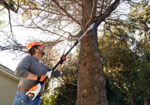 Аккумуляторный секатор Stihl Hta 50 с акб и зу (LA022000002)
