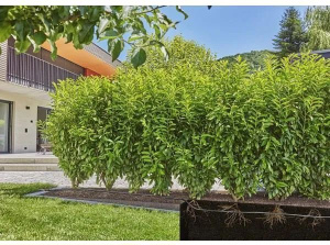 Комплект для микрокапельного полива Gardena для живых изгородей/кустов, 50м, (13501-20)
