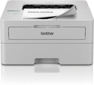 Монохромный лазерный принтер Brother HL-L2865DW