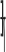 Душевая штанга Hansgrohe Pulsify 24400670, матовый черный