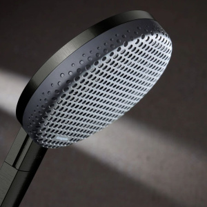 Душевая лейка Hansgrohe Raindance Alive Select S 24512340 графит