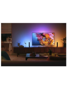 Панель освещения Philips Hue Play 2 модуля+адаптер питания, EU версия, цвет арматуры:, черный