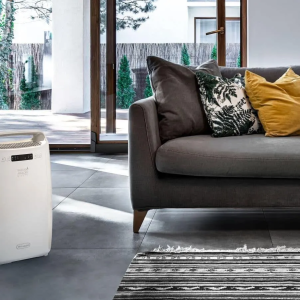 Осушитель воздуха De'Longhi Tasciugo AriaDry Multi DEXD214RF