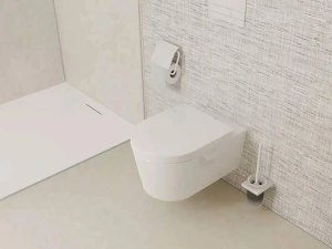 Ершик для унитаза с держателем Hansgrohe AddStoris, белый матовый 41752700