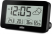 Погодная станция BRAUN BC13BP (цвет черный)