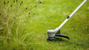 Аккумуляторный триммер Bosch AdvancedGrassCut 36V-33 (06008C1K01)