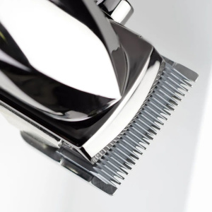 Машинка для стрижки BaByliss E996E, серебристый