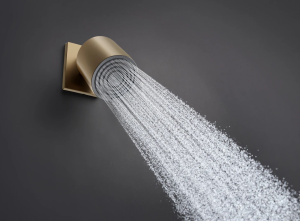 Верхний душ Hansgrohe Pulsify S 105 1Jet 24130140, шлифованная бронза