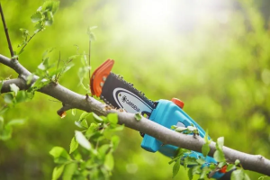 Аккумуляторные ножницы Gardena TCS 20/18V P4A (14770-55)