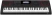 Синтезатор CASIO CT-X3000 черный