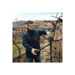 Аккумуляторный секатор Bosch Pro Pruner Professional (06019K1020)