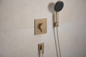 Душевая лейка Hansgrohe Raindance Alive Select S 24500140, шлифованная бронза