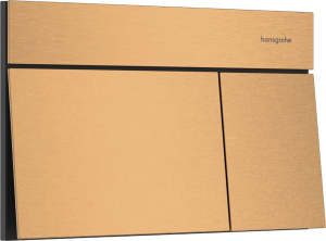 Кнопка смыва Hansgrohe iFrame Element E 66003140