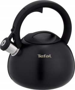 Чайник для плиты Tefal Intuition N418041 2.5л со свистком
