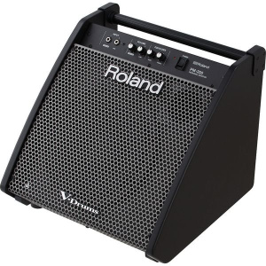 ROLAND PM-100 Сценический монитор