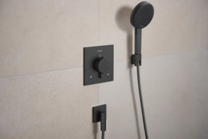 Душевая лейка Hansgrohe Raindance Alive Select S 24512340 графит