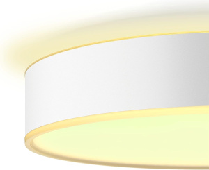 Умный потолочный светильник Philips Hue Enrave M white ambiance 915005996601, белый
