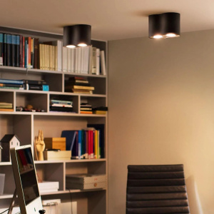 Потолочный светильник Philips Hue White Ambiance Pillar 929003046401 черный