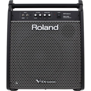 ROLAND PM-100 Сценический монитор