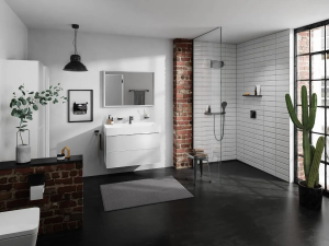 Держатель для туалетной бумаги с крышкой Hansgrohe AddStoris, черный матовый 41753670