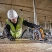 Аккумуляторная дисковая пила DeWALT DCS579NT, без АКБ и ЗУ, в кейсе