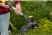 Аккумуляторный триммер Stanley SFMCST933M1