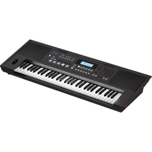Синтезатор Roland E-X50