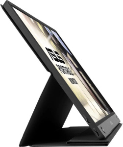 ASUS ZenScreen MB16AHP, 1920x1080, 60 Гц, IPS, серый