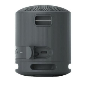 Sony Беспроводная акустика SRS-XB100, черный