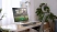 Монитор Dell Plus S2725QS 27" 3840x2160 60Hz